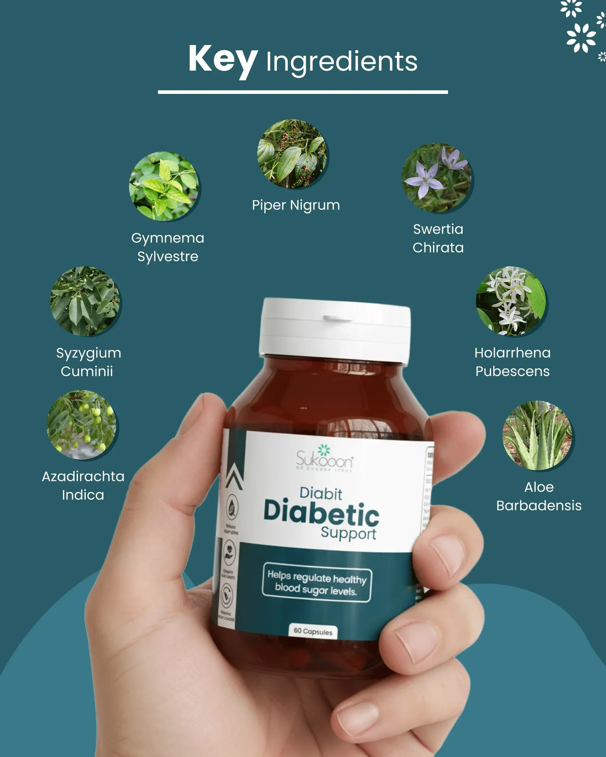 Diabit Capsules | Daily Wellness Support - Image 4